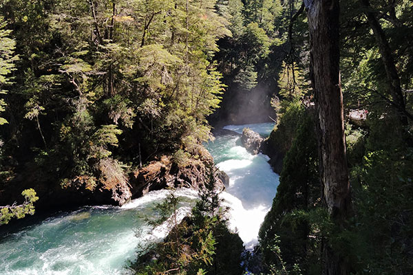 Cerro Tronador + Cascada los Alerces