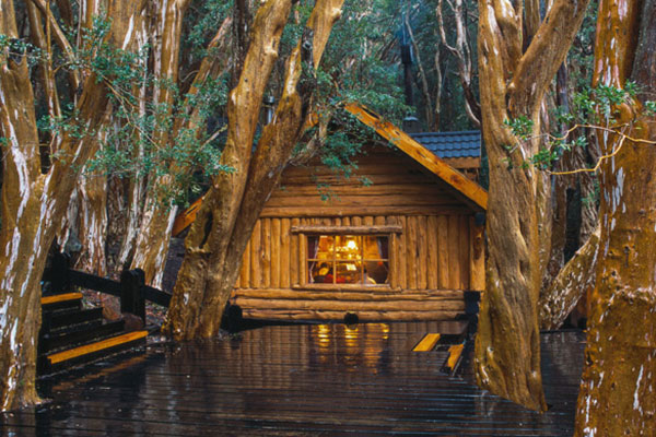 Isla Victoria y Bosque de Arrayanes